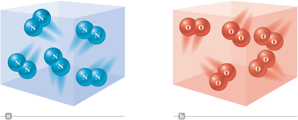 An illustration shows two cubes. The first cube contains molecules consisting of two nitrogen atoms each, moving rapidly in random directions. The second cube contains molecules consisting of two oxygen atoms each, moving rapidly in random directions.