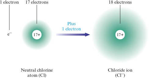 An illustration shows 1 electron, e superscript minus, and a neutral chlorine atom (C l) represented as a diffuse spherical cloud of 17 electrons surrounding a circle labeled 17+. An arrow labeled “plus 1 electron” goes from the neutral chlorine atom to a chloride ion (C l superscript minus) with a much bigger electron cloud of 18 electrons surrounding a circle labeled 17+.
