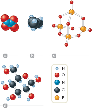 A set of four illustrations are shown. In the first section, the space filling model shows two nitrogen atoms bonded together, represented by blue sphere, each bonded to two oxygen atoms, represented by red sphere. In the second section, the space filling model shows three carbon atoms bonded together, each represented by black spheres, each attached to two hydrogen atoms, represented by white spheres. In the third section, the ball and stick model shows four phosphorous atoms, each represented by yellow spheres, each bonded to the other phosphorous atoms with central oxygen atoms, each represented by red spheres, further each of the phosphorous atoms are bonded to one oxygen atom. In the fourth section, the ball and stick model shows a cyclohexane with carbon atom 1 replaced by an oxygen atom, carbon atom 2, 3, 4, and 5 bonded to a hydrogen atom (H) and an hydroxyl group (OH), and carbon atom 6 bonded to a hydrogen atom and a carbon atom, which is further bonded to two hydrogen atoms (H) and hydroxyl group (OH).