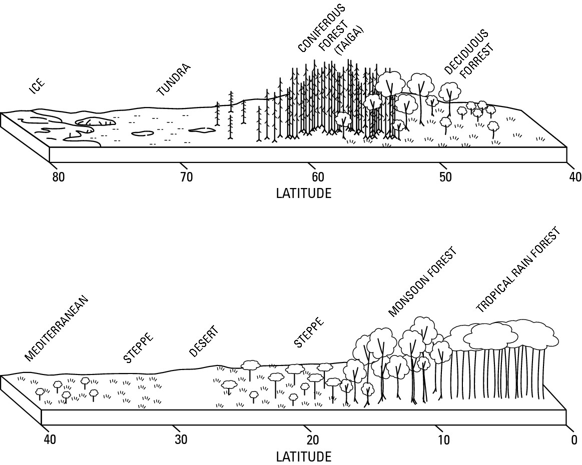 Figure 10-1: The hypothetical sequence of natural vegetation in the Northern Hemisphere.