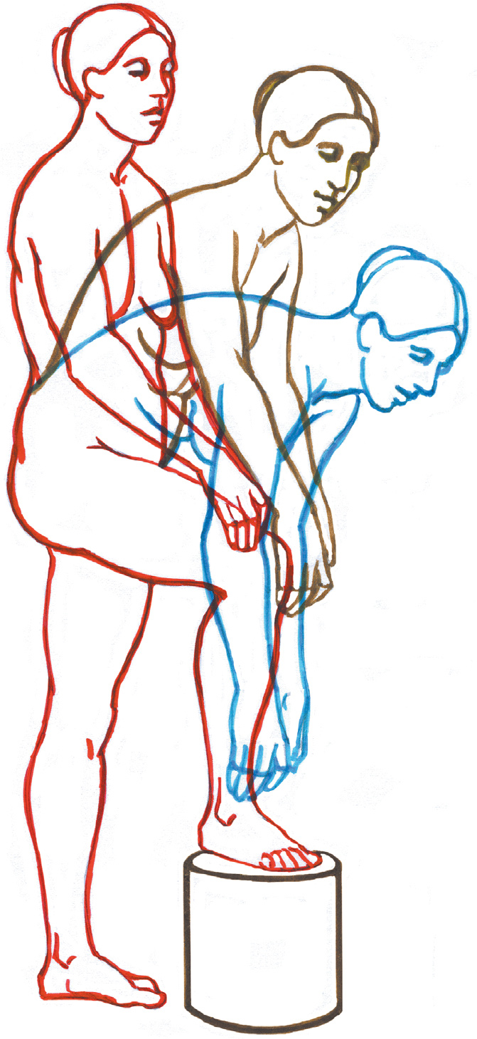 Sequential Movement - Classic Human Anatomy in Motion: The