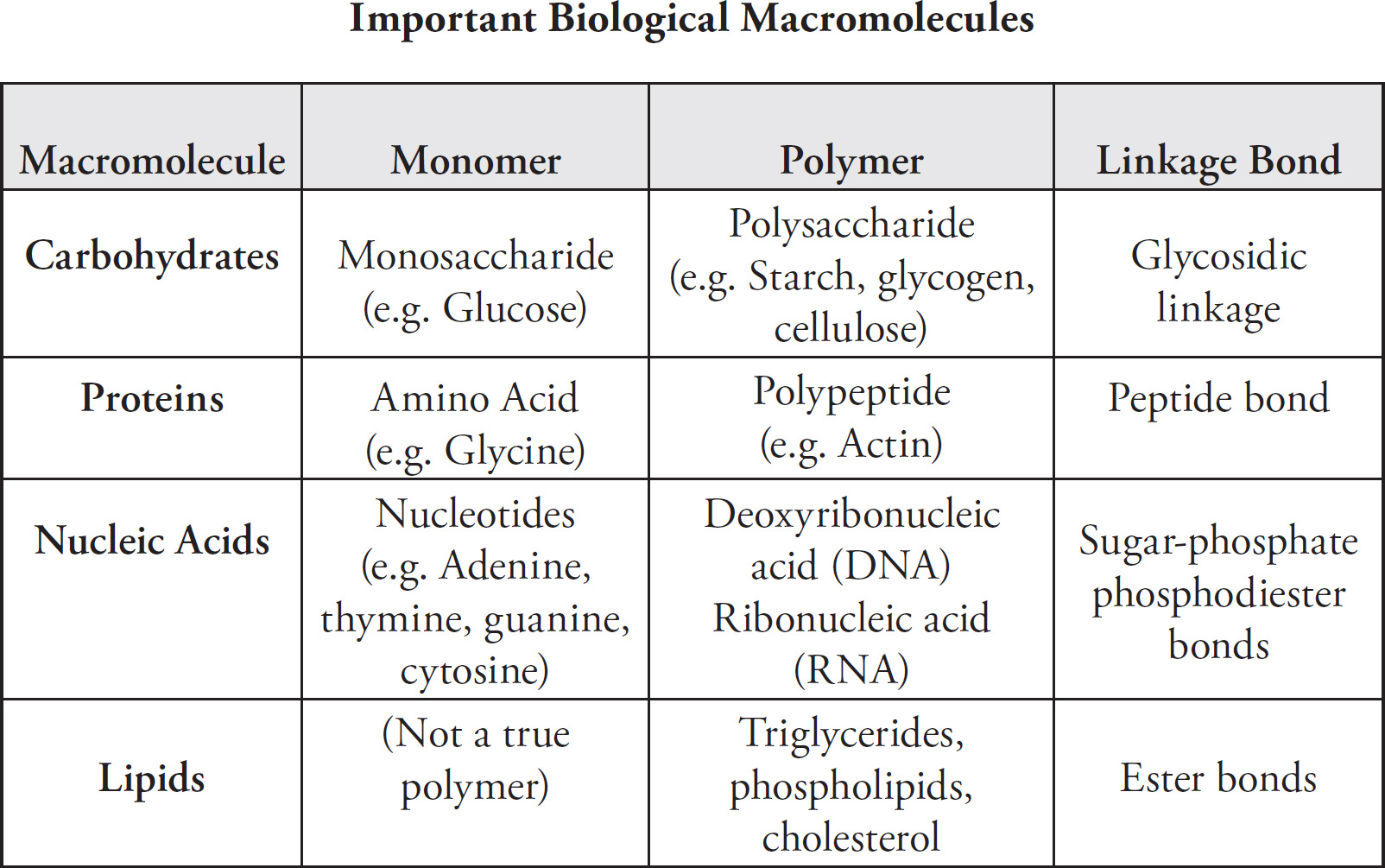 macromolecules chart ap biology