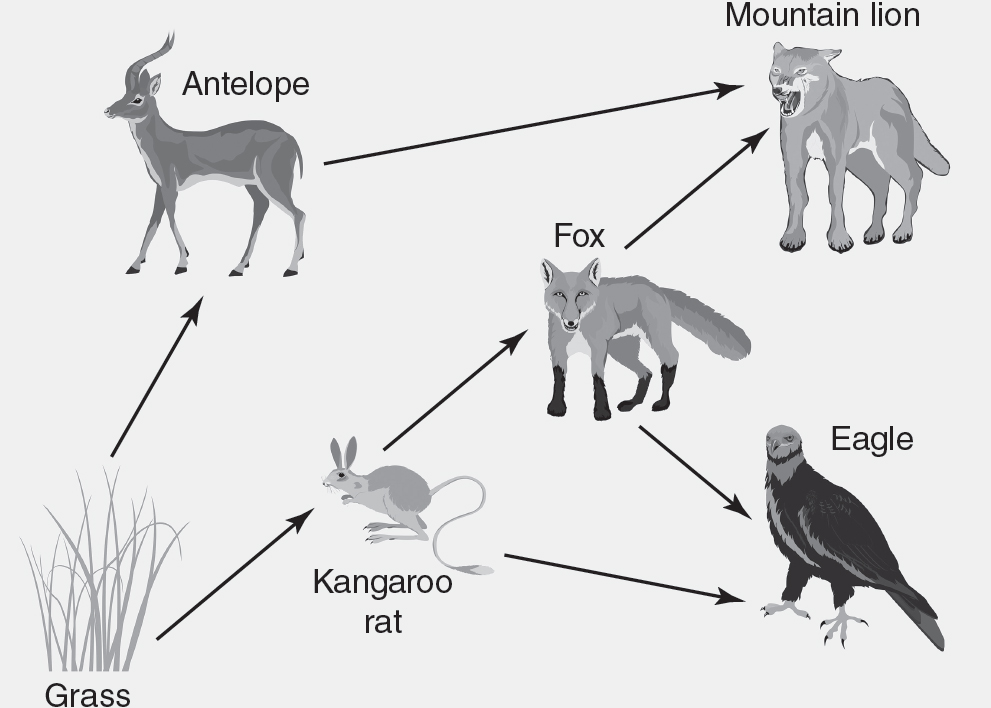 22 The Basics of Ecology - UNIT 8 Ecology