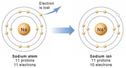 negatively charged ion