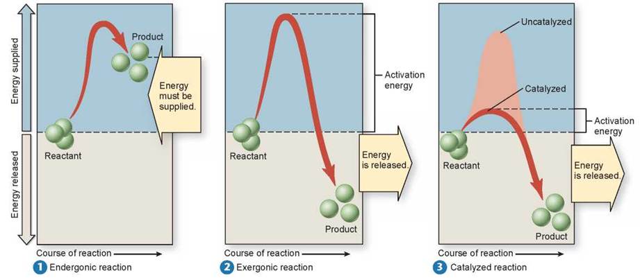 energy in chemical reactions