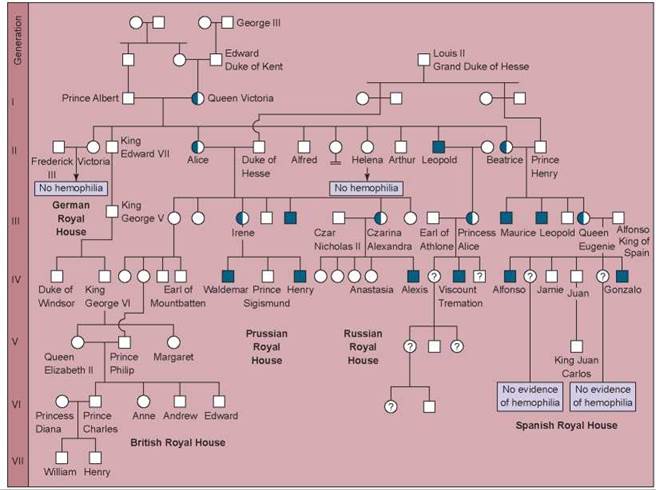 Queen Victoria Hemophilia Chart