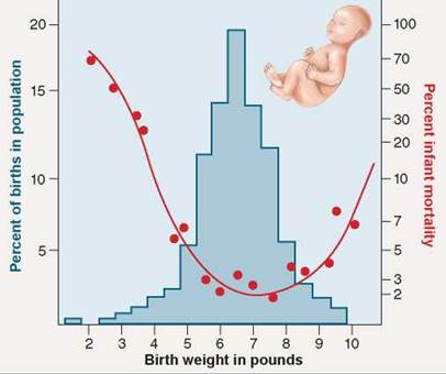 birth weight selection living human biology rate survival disruptive humans evolution schoolbag info