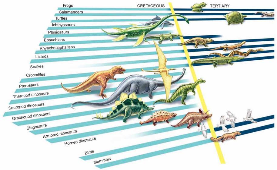Figure 20.8. Extinction of the dinosaurs.