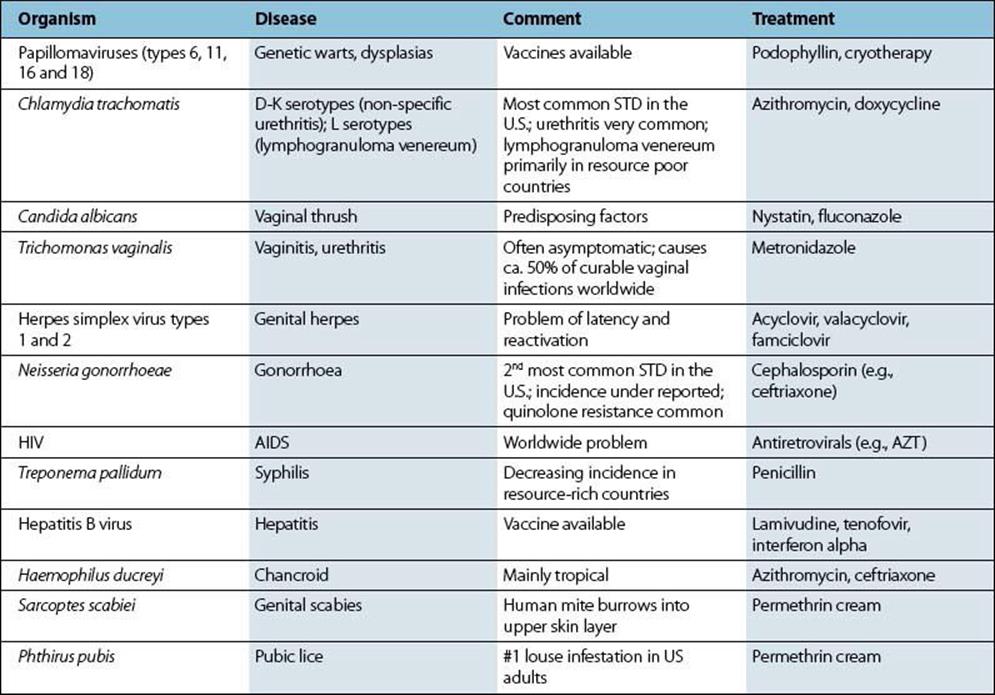 Sexually Transmitted Infections Stis Chart Poster Laminated Nursing 4531