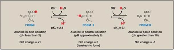 Аланин c2h5oh. Аланин PH. Аланин фото. Аланин при РН 1.7. Аланин и кислород.