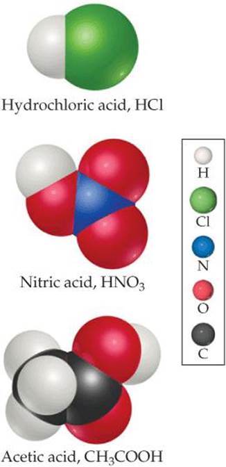 FIGURE 4.6 Molecular models of three common acids.