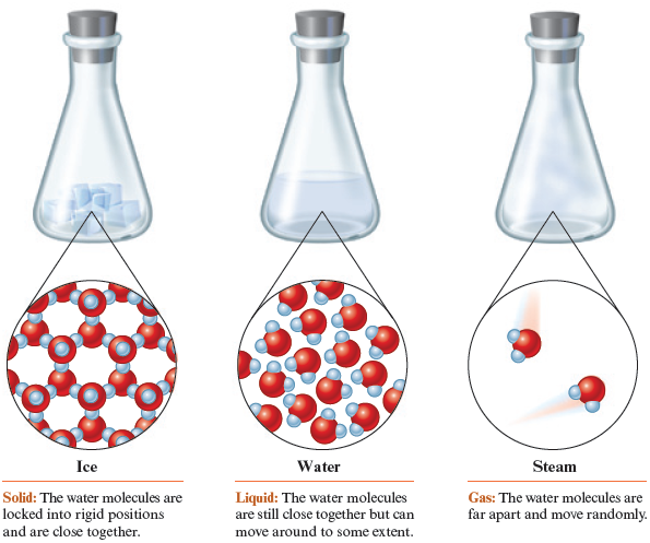 An illustration shows representations of the three states of matter. From ice cubes in a sealed flask, a molecular zoom shows water molecules locked together in a hexagonal pattern, with each hydrogen atom touching an oxygen atom in an adjacent water molecule. From water in a sealed flask, a molecular zoom shows water molecules in random positions close together. From steam in a sealed flask, a molecular zoom shows a couple of water molecules moving fast in random directions.