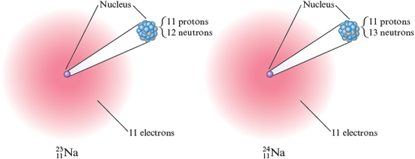 An illustration shows atomic representations of two isotopes of sodium. The nucleus of each is surrounded by a diffuse cloud of 11 electrons. In each isotope, the nucleus is zoomed in to show the cluster of protons and neutrons, represented by blue and gray spheres. In the first sodium isotope, there are 11 protons and 12 neutrons in the nucleus. The atom is labeled with its atomic symbol Na with notations showing the mass number as 23 and the atomic number as 11. In the second sodium isotope, there are 11 protons and 13 neutrons in the nucleus atom. The atom is labeled with its atomic symbol Na with notations showing the mass number as 24 and the atomic number as 11.