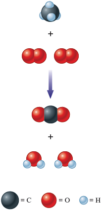 An illustration shows a chemical reaction in the form of space filling model. The chemical reaction shows methane and two diatomic molecules of oxygen reacting together to form carbon dioxide and two water molecules. The space filling model of the methane shows a carbon atom attached to four hydrogen atoms. The space filling model of diatomic oxygen shows two oxygen atoms attached to each other. The space filling model of carbon dioxide shows a carbon atom attached to two oxygen atoms. The space filling model of water shows an oxygen atom attached to two hydrogen atoms. Accompanied legend shows carbon atom represented by a black sphere, oxygen atom represented by a red sphere, and hydrogen atom represented by a white sphere.