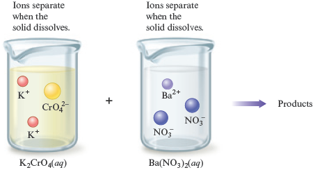 An illustration demonstrates the reaction between aqueous potassium chromate (K subscript 2 CrO superscript 4) solution and aqueous barium nitrate (Ba (NO subscript 3) subscript 2) solution to form products. Chromate ion (CrO subscript 4 superscript 2 minus) and potassium ions (K superscript plus) shown in a beaker containing aqueous potassium chromate solution. Text reads, Ions separate when the solid dissolves. Barium ion (Ba superscript 2 plus) and nitrate ion (NO subscript 3 superscript minus) shown in another beaker containing aqueous barium nitrate solution. Text reads, Ions separate when the solid dissolves.