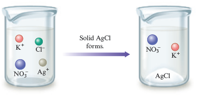 An arrow labeled “solid AgCl forms” points from a beaker containing potassium ion (K superscript plus), chloride ion (Cl superscript minus), silver ion (Ag superscript plus), and nitrate ion (NO subscript 3 superscript minus) to a second beaker containing potassium ion (K superscript plus), nitrate ion (NO subscript 3 superscript minus) and silver chloride (AgCl) precipitate.