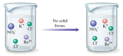 An arrow labeled “No solid forms” points from a beaker containing potassium ion (K superscript plus), barium ion (Ba superscript 2 plus), chloride ion (Cl superscript minus), and nitrate ion (NO subscript 3 superscript minus) to a second beaker containing the same ions.