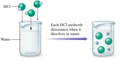 An arrow labeled “each HCl molecule dissociates when it dissolves in water” points from a beaker containing water to which three molecules of HCl are added to a second beaker containing HCl solution. The HCl molecules in this beaker have dissociiate to positively charged hydrogen ions and negatively charged chloride ions.