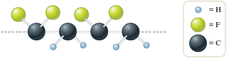 The ball and stick model of polyvinylidene difluoride shows linear chain of four carbon atoms, represented by black spheres, where carbon 1 and carbon 3 is bonded to two fluorine atoms, represented by green spheres, and carbon 2 and carbon 4 bonded to two hydrogen atoms, represented by white spheres.