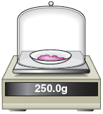 An illustration shows a small amount of substance in a watch glass placed in a sealed glass container. The setup is placed on a balance. The balance reads 250.0 grams.