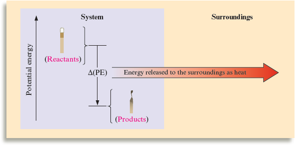 An illustration shows the difference in potential energies of reactants and products, indicated by an increasing potential energy scale. Reactants have a higher potential energy as compared to products, and the difference in the energies, denoted by delta PE, is released to the surroundings as heat.