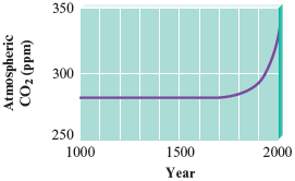 A line chart shows year along the horizontal axis with 1000, 1500, 2000 on scale and atmospheric carbon dioxide (CO subscript 2) (ppm) along the vertical axis with 250, 300, 350 on scale. The atmospheric carbon dioxide remains constant (approximately 280 ppm) until it starts to increase non-linearly after 1500 years.