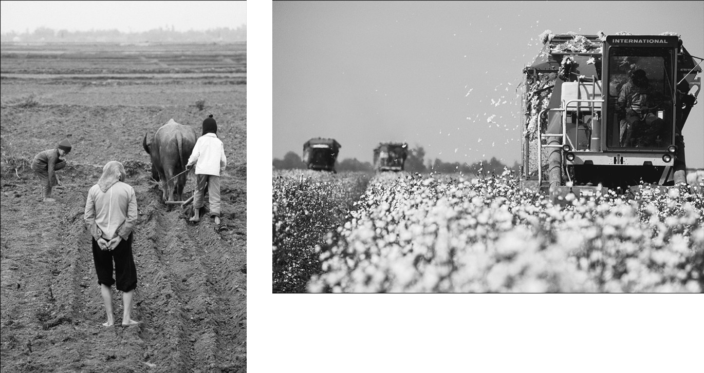 Figure 13-1a and b: When peoples of different culture practice agriculture, they may transform the natural landscape into very different cultural landscapes.