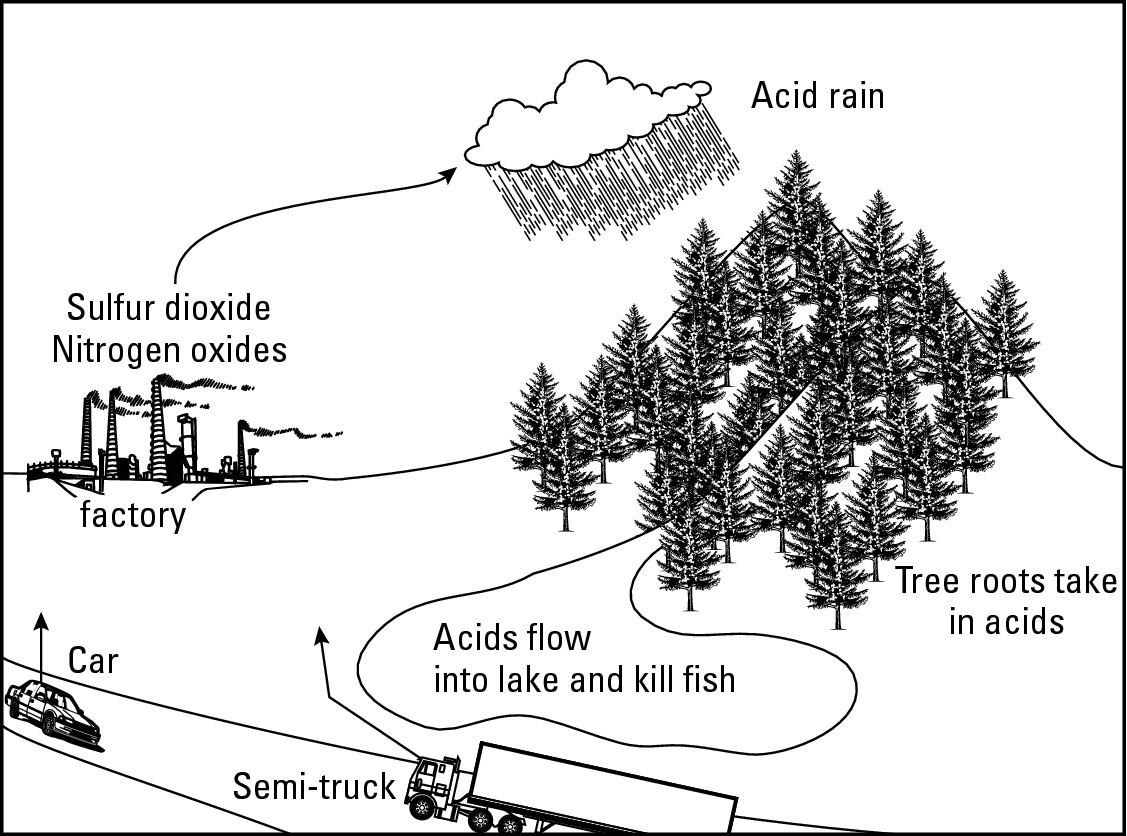 Figure 18-4: The acid rain that destroys forests and contami-nates lakes largely originates in personal, commercial, and industrial consump-tion of fossil fuels.