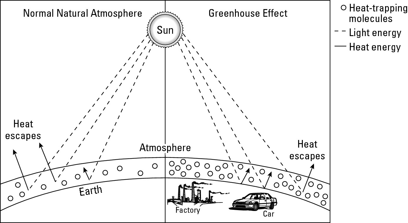 Figure 18-6: Large quantities of carbon dioxide in the atmosphere greatly contribute to the global greenhouse effect.