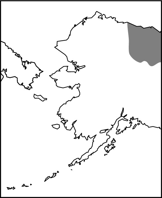 Figure 18-7: The Arctic National Wildlife Reserve in Alaska.