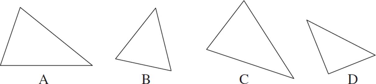 Найди на рисунке равносторонние треугольники. Равносторонний и разносторонний треугольник. Равносторонний треугольник разносторонний треугольник. Разносторонний треугольник треугольники. Разносторонний треугольник для дошкольников.