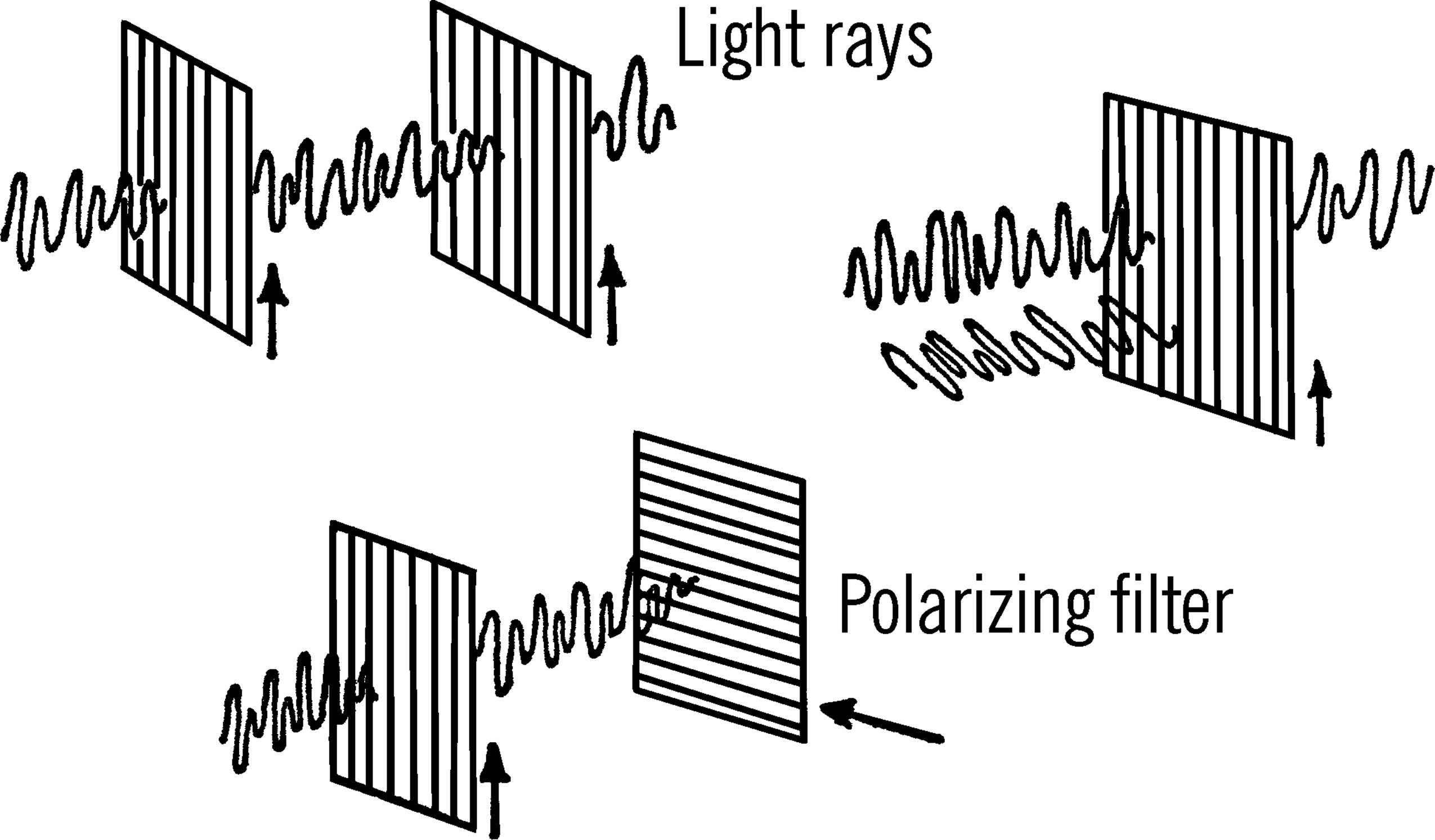 Polarized light filters.